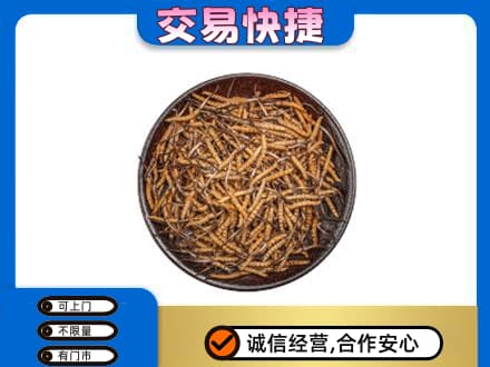 阿勒泰高价回收散虫草